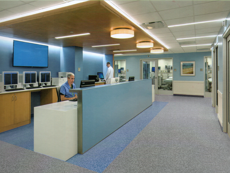 悟净系列同质透心地板