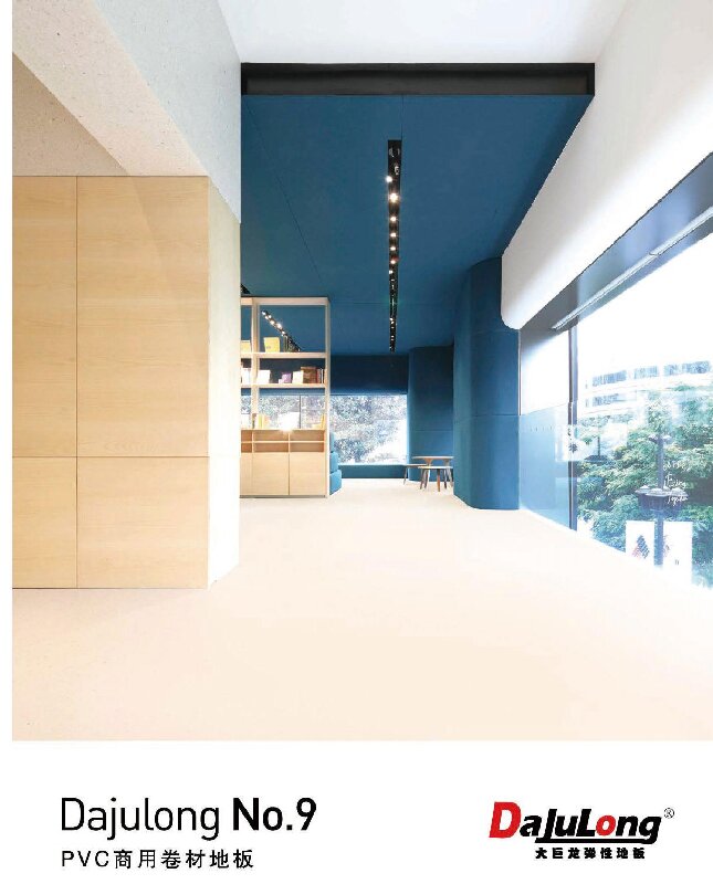 大巨龙NO.9文件下载