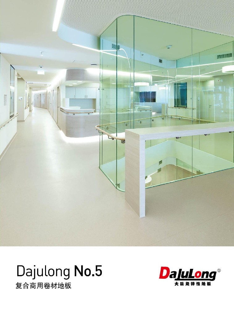 大巨龙NO.5文件下载