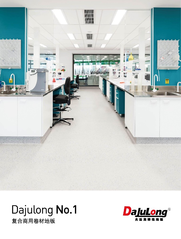 大巨龙NO.1文件下载