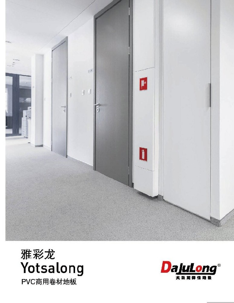 大巨龙雅彩龙文件下载