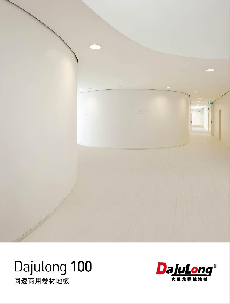 大巨龙100系列文件下载