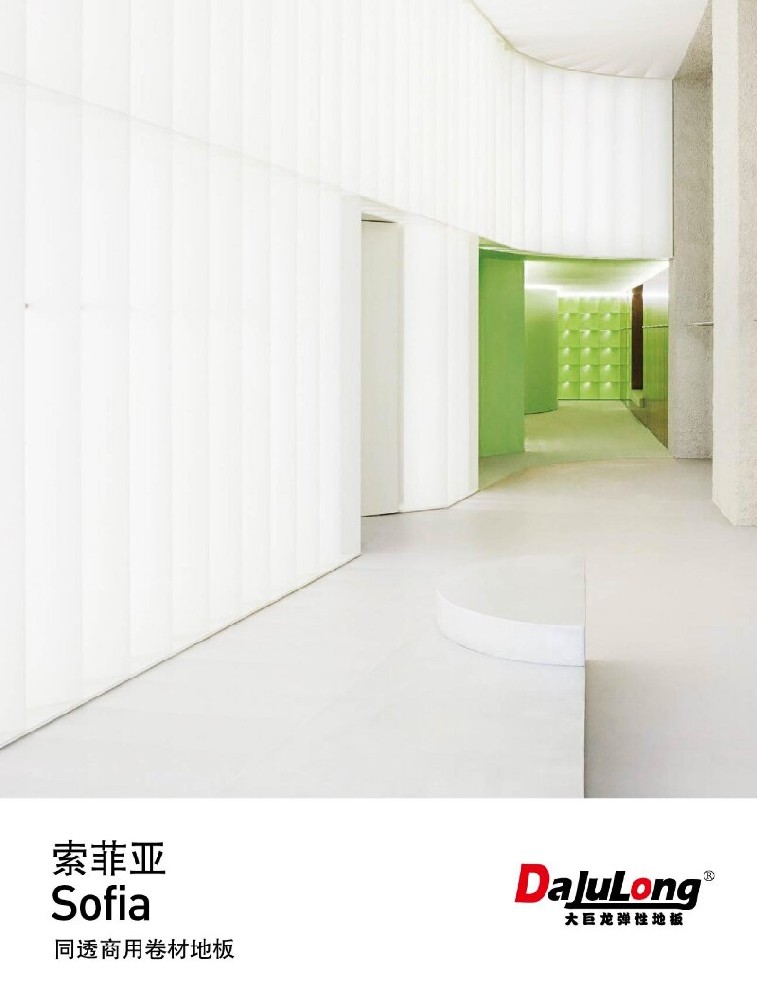 索菲亚文件下载