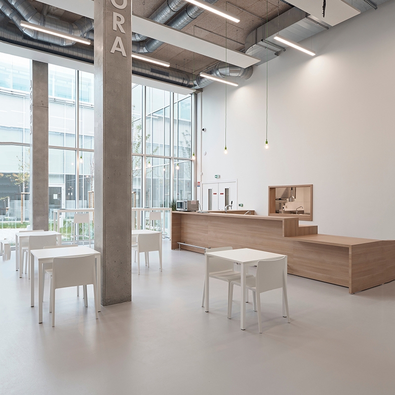 大巨龙耶利亚同质透心地板