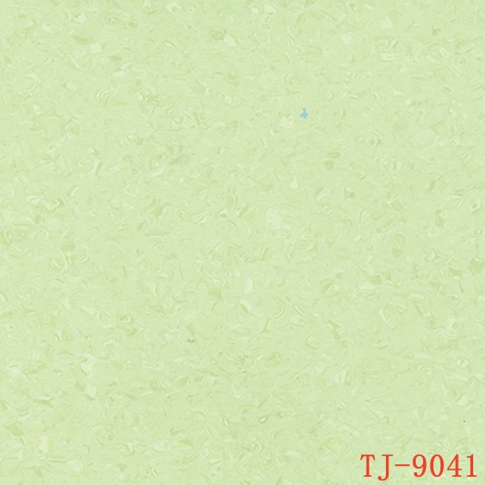 TJ-9041