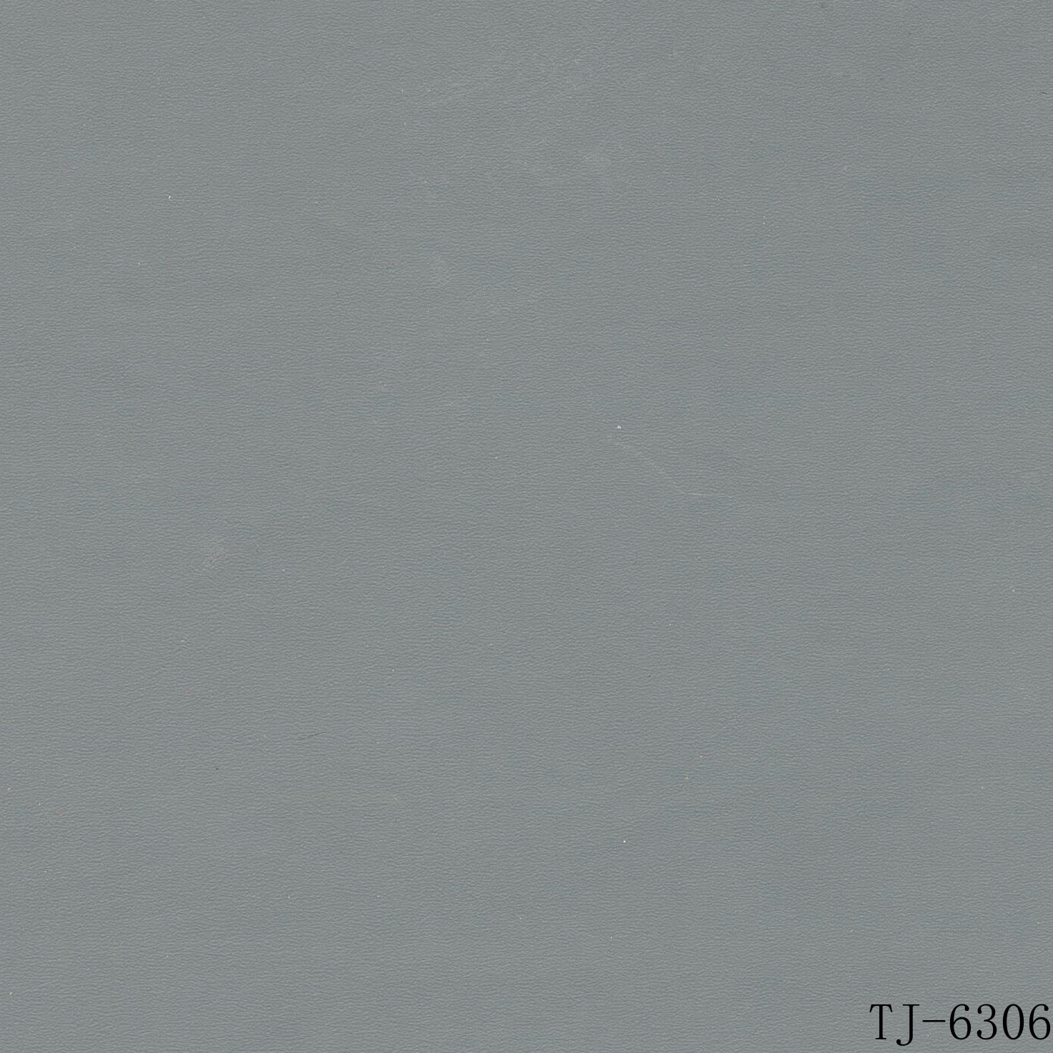 TJ-6306