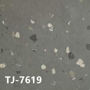 TJ-7619