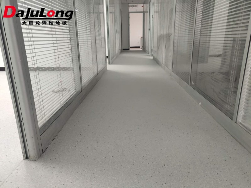 Case Study of Dajulong Homogeneous Penetrating Flooring Office
