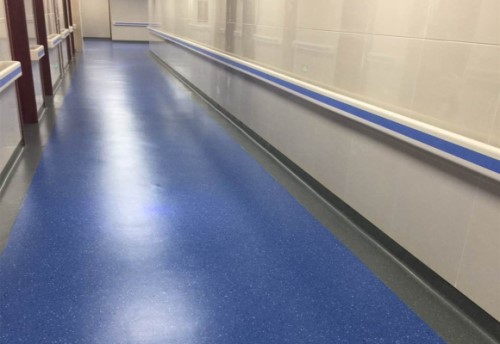 Blue Homogeneous Flooring Case Study