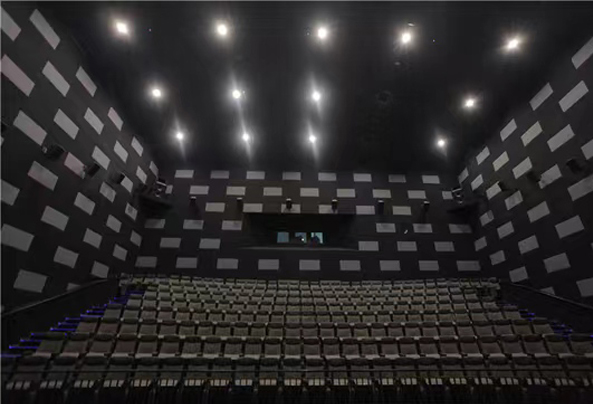 Daju Long Commercial PVC flooring Rolls