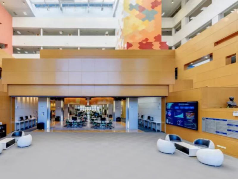 School PVC Flooring / School Vinyl Flooring