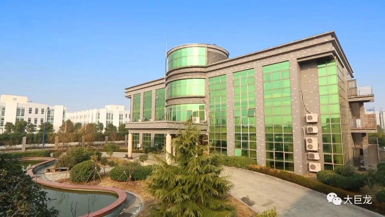 大巨龙工厂