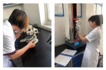 大巨龙地板厂家升级实验室严把质量关