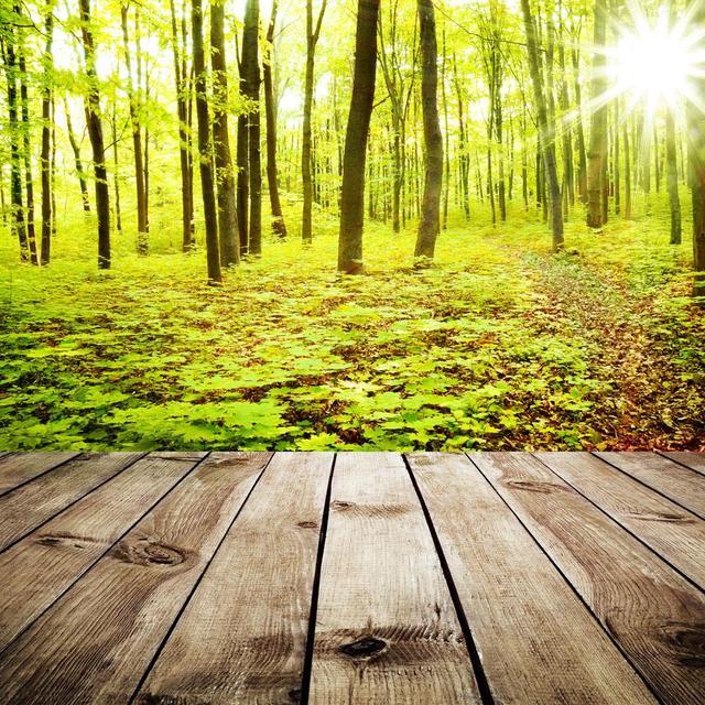 推动行业的未来发展，卡曼国际退出SPC地板