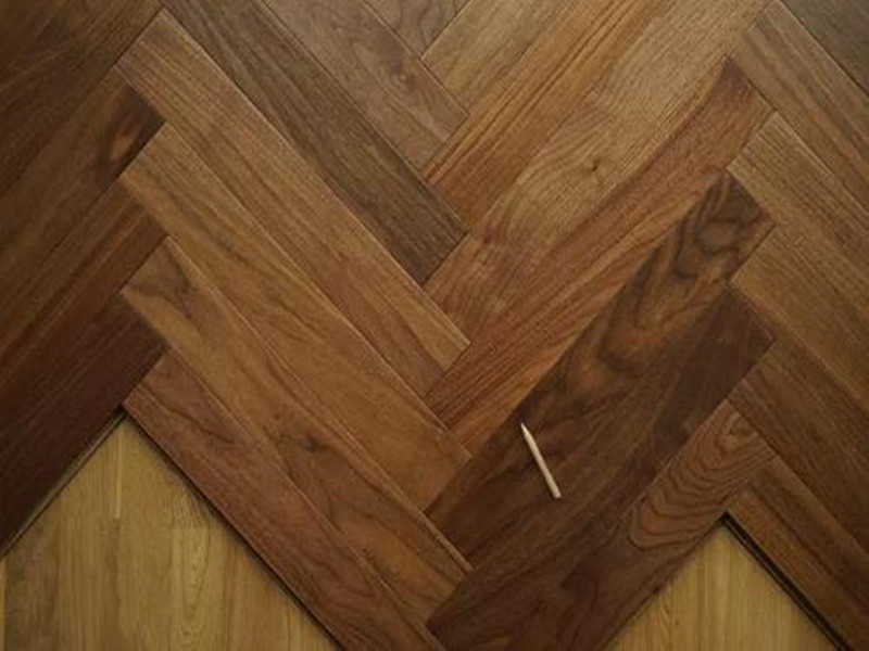 教育机构认可大巨龙地板的原因
